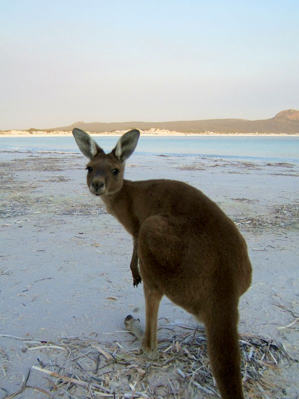 an der lucky bay