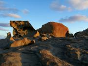 kangaroo island