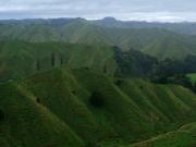 taranaki / waitomo