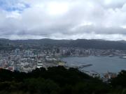 wellington